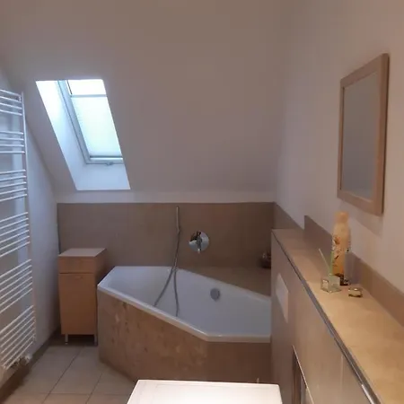مزرعة للإقامة Willekes Bluetenhof *