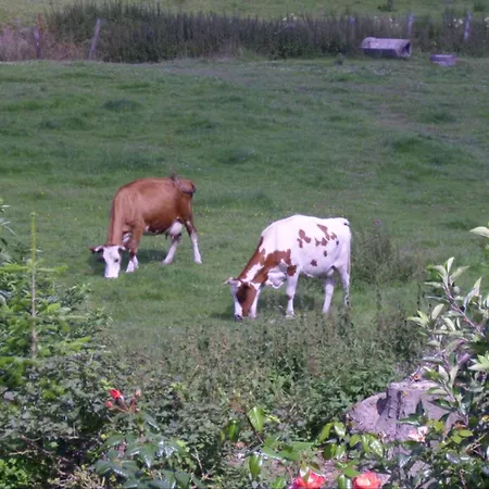 Willekes Bluetenhof Alojamento de Turismo Rural *