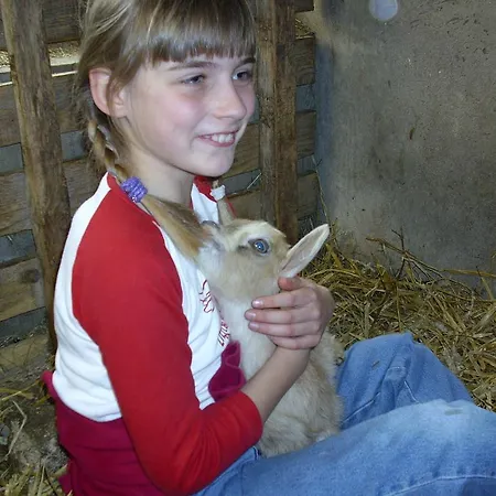 Willekes Bluetenhof *