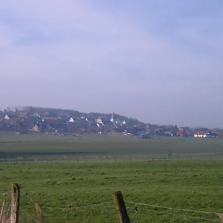 Willekes Bluetenhof Madfeld