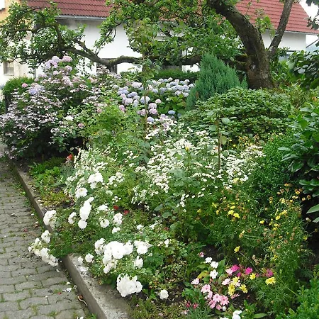 Alojamento de Turismo Rural Willekes Bluetenhof *