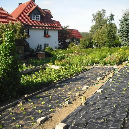 Willekes Bluetenhof Madfeld