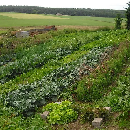 Willekes Bluetenhof Alojamento de Turismo Rural *
