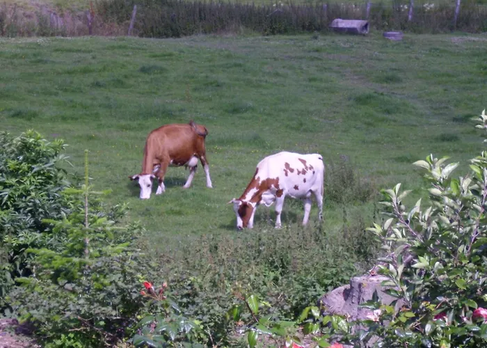 Willekes Bluetenhof Vakantieboerderij *