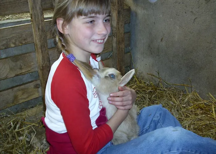 Willekes Bluetenhof *