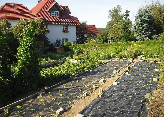 Willekes Blütenhof Madfeld